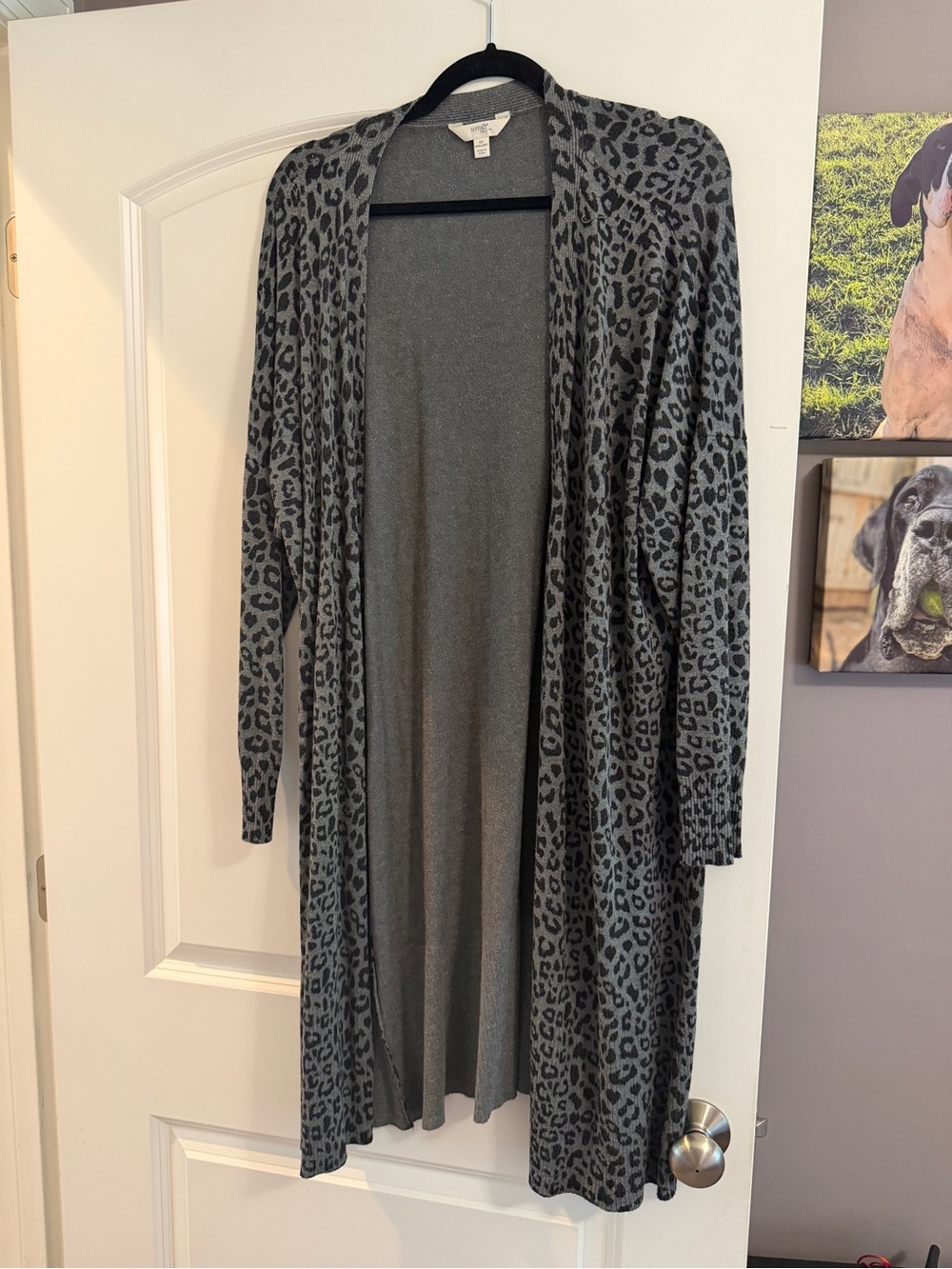 Terra & Sky Gray Leopard Print Open-Front Cardigan